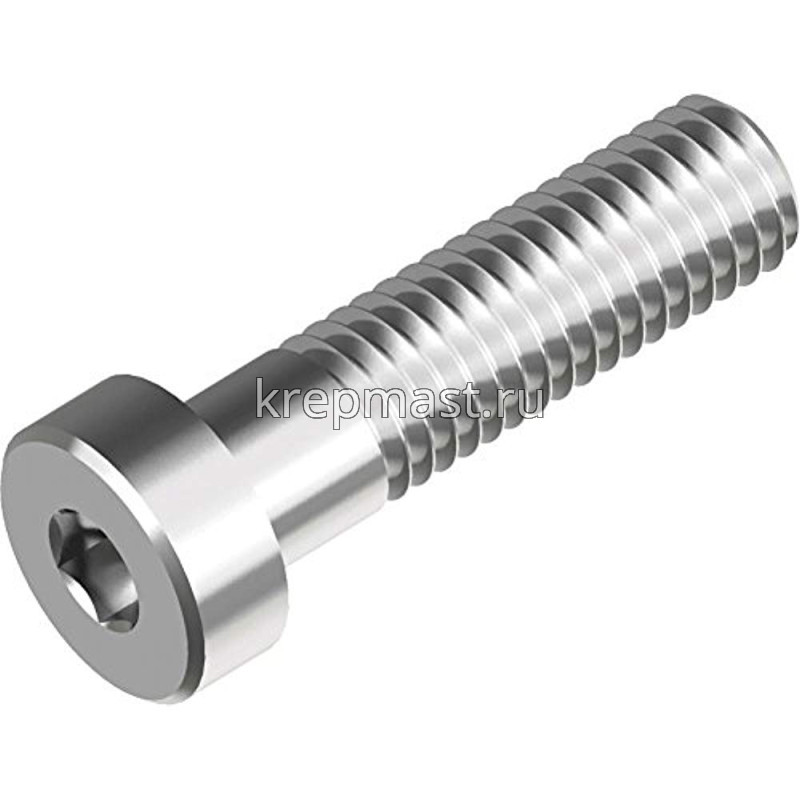 Винт 10х25 DIN 7984 внутр. шестигр.(п/цил)