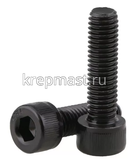 Винт с внутр.шестигранником 10 х 25 черный кл.пр.12,9 п/р DIN 912